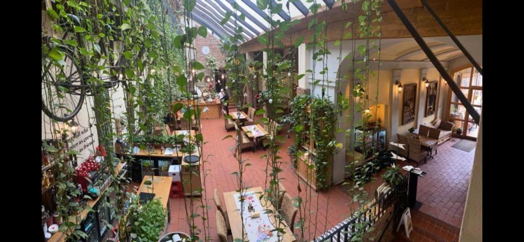 Pensiunea Gasthaus Alte Post シギショアラ エクステリア 写真
