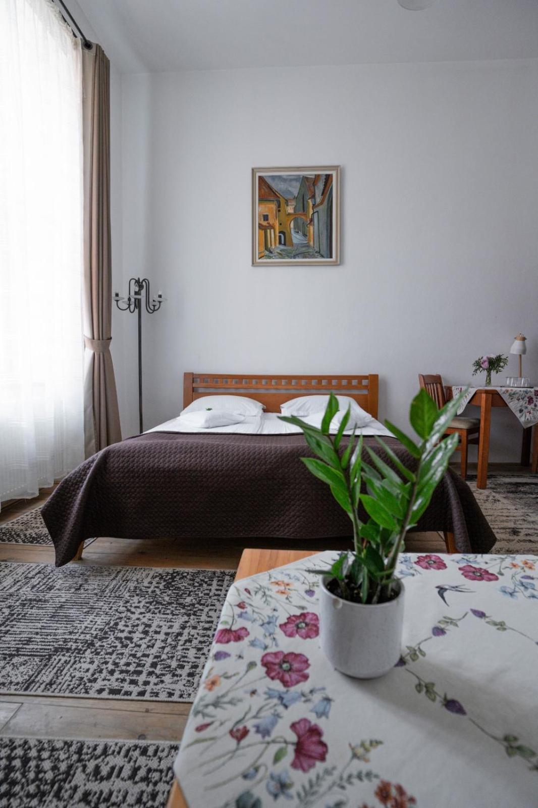 Pensiunea Gasthaus Alte Post シギショアラ エクステリア 写真