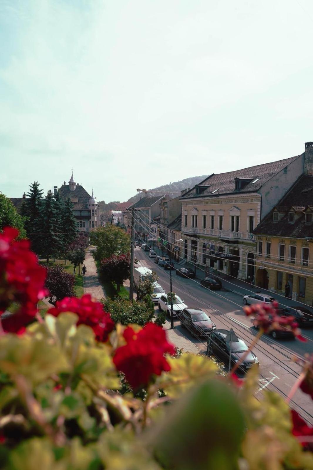 Pensiunea Gasthaus Alte Post シギショアラ エクステリア 写真